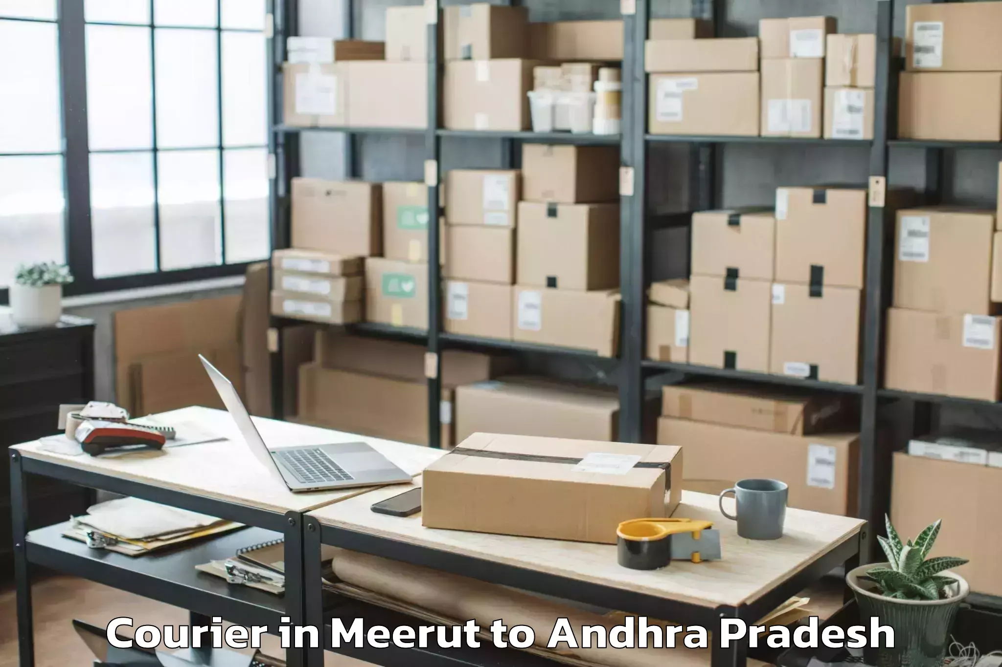 Top Meerut to Peddapanjani Courier Available